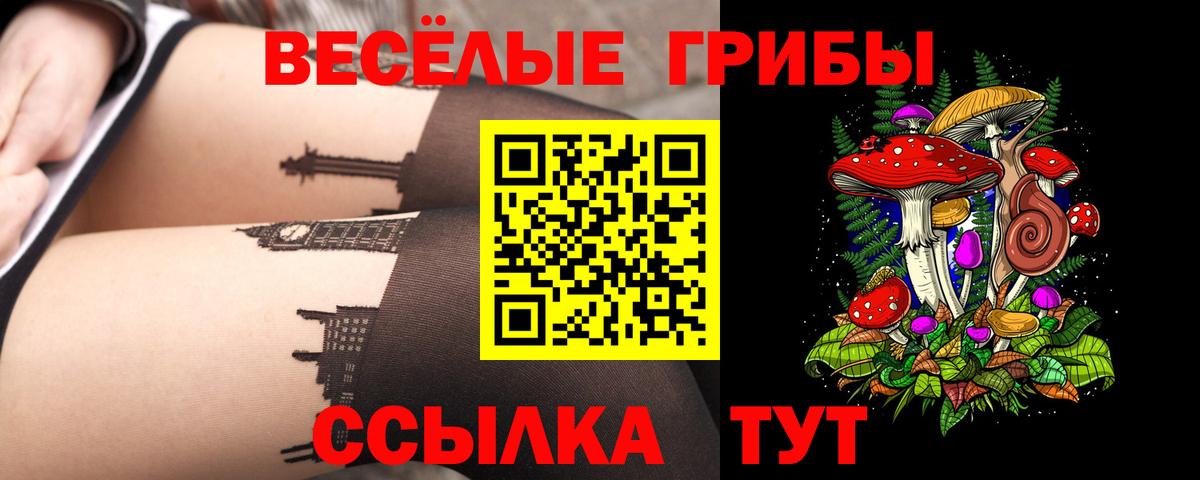 Галлюциногенные грибы Psilocybe Тула