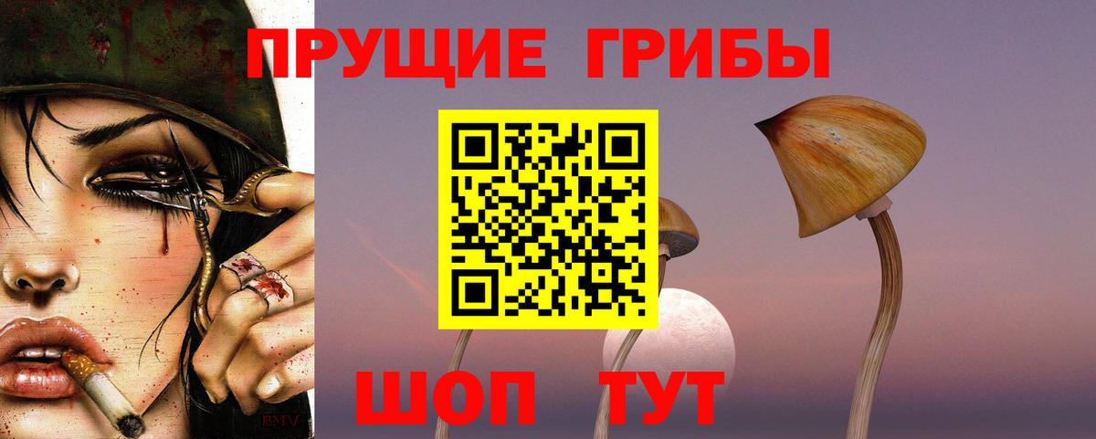 Галлюциногенные грибы прущие грибы  даркнет сайт  Тула  Вход с VPN  Псилоцибиновые грибы мухоморы 