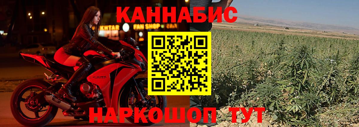 Канабис планчик Тула
